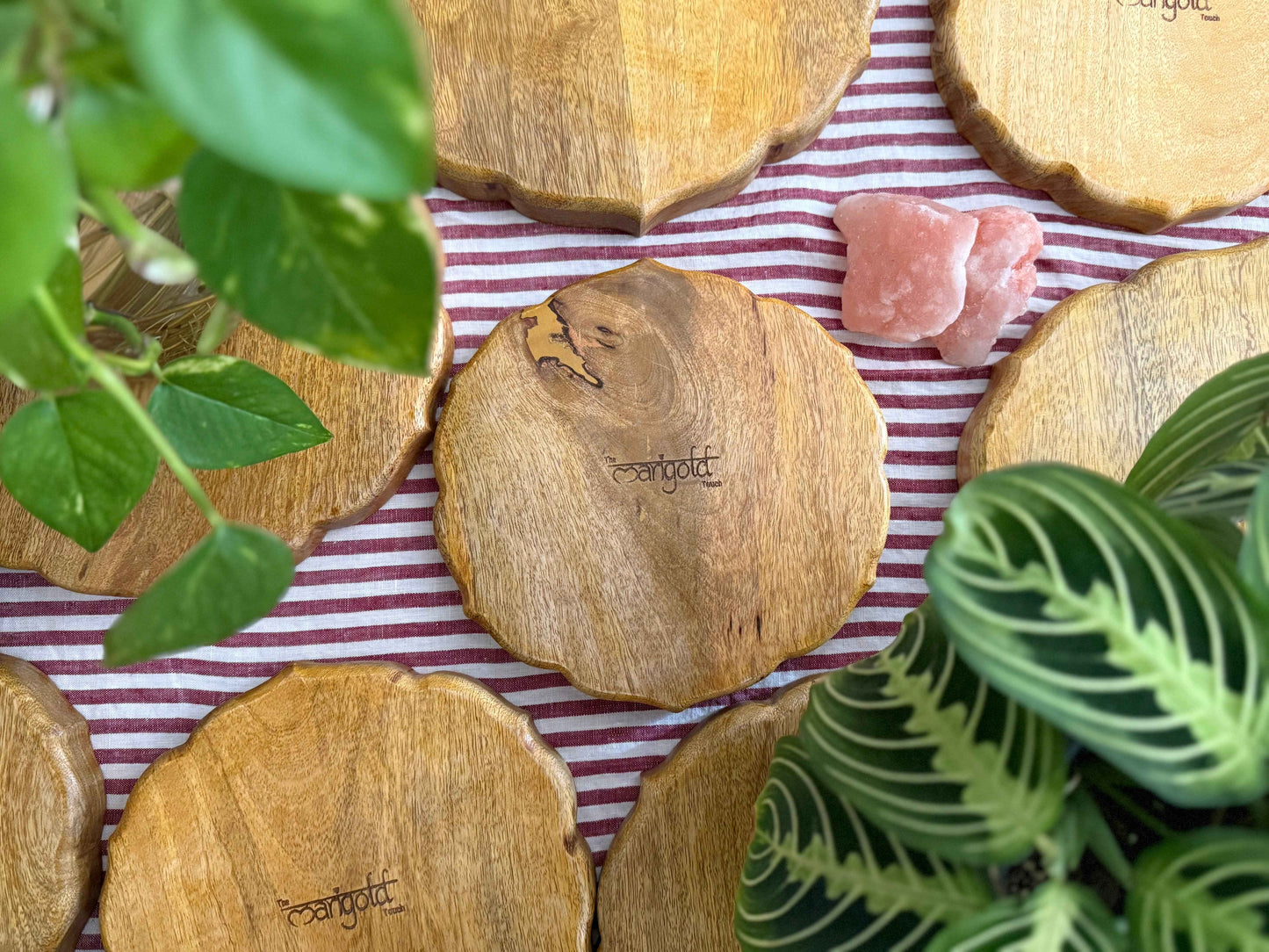 Pankh Platters