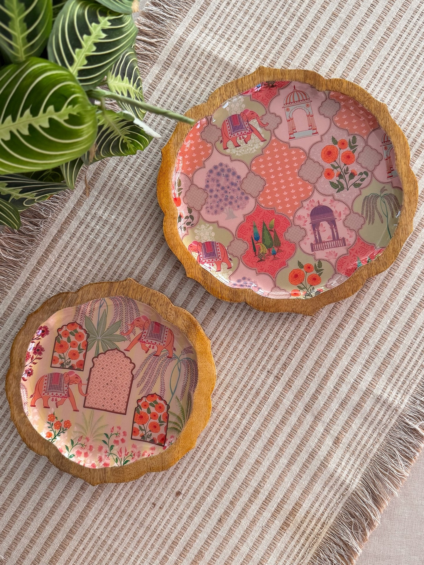 Pankh Platters
